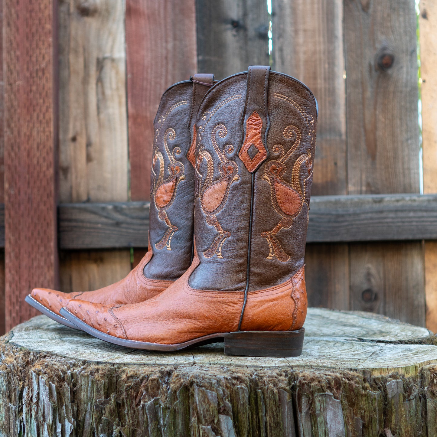 Cuadra Men's Ostrich Cowboy Boots in Brandy
