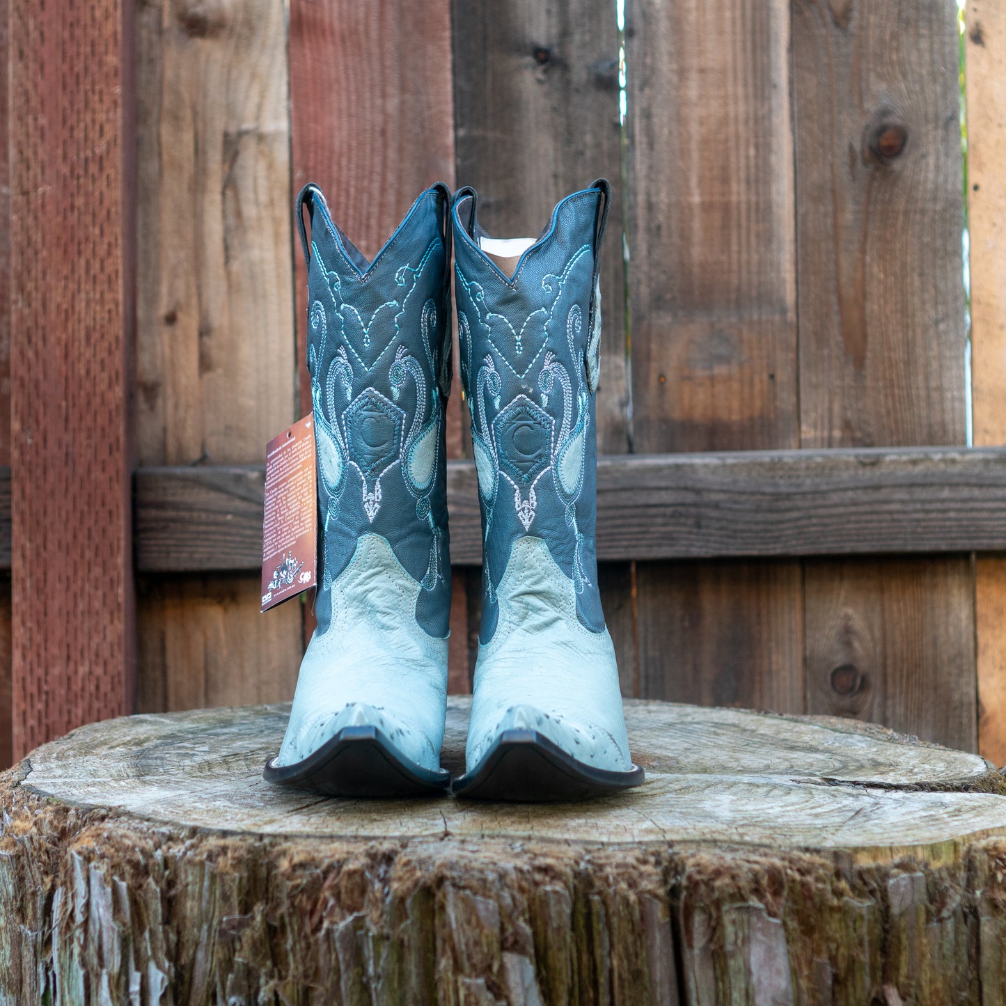 Cuadra Men's Ostrich Cowboy Boots in Sky Blue