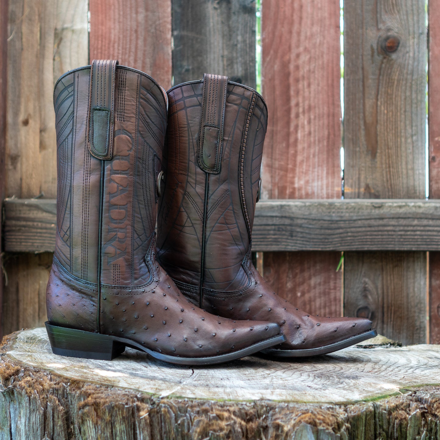 Cuadra Men's Ostrich Laser And Embroidery Snip Toe Cowboy Boots in Flame Chocolate