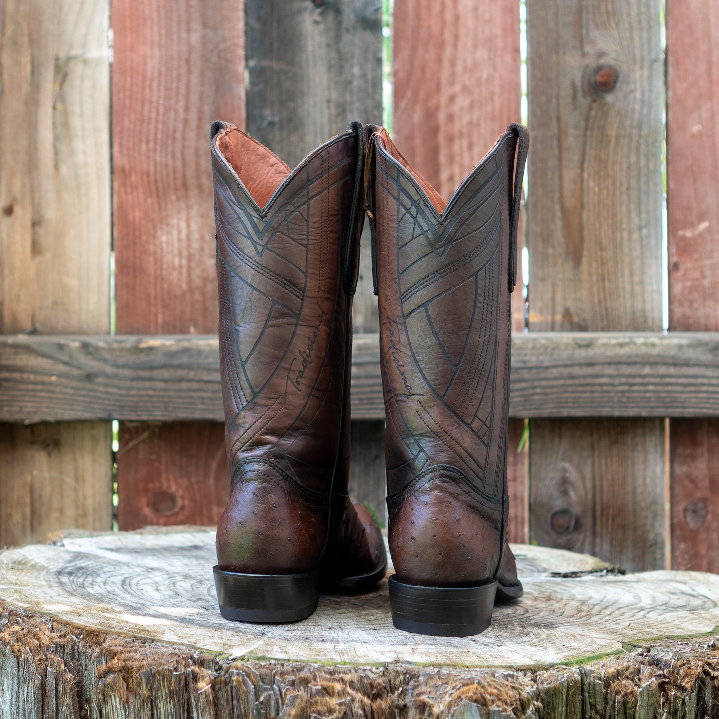 Cuadra Men's Ostrich Laser And Embroidery Snip Toe Cowboy Boots in Flame Chocolate