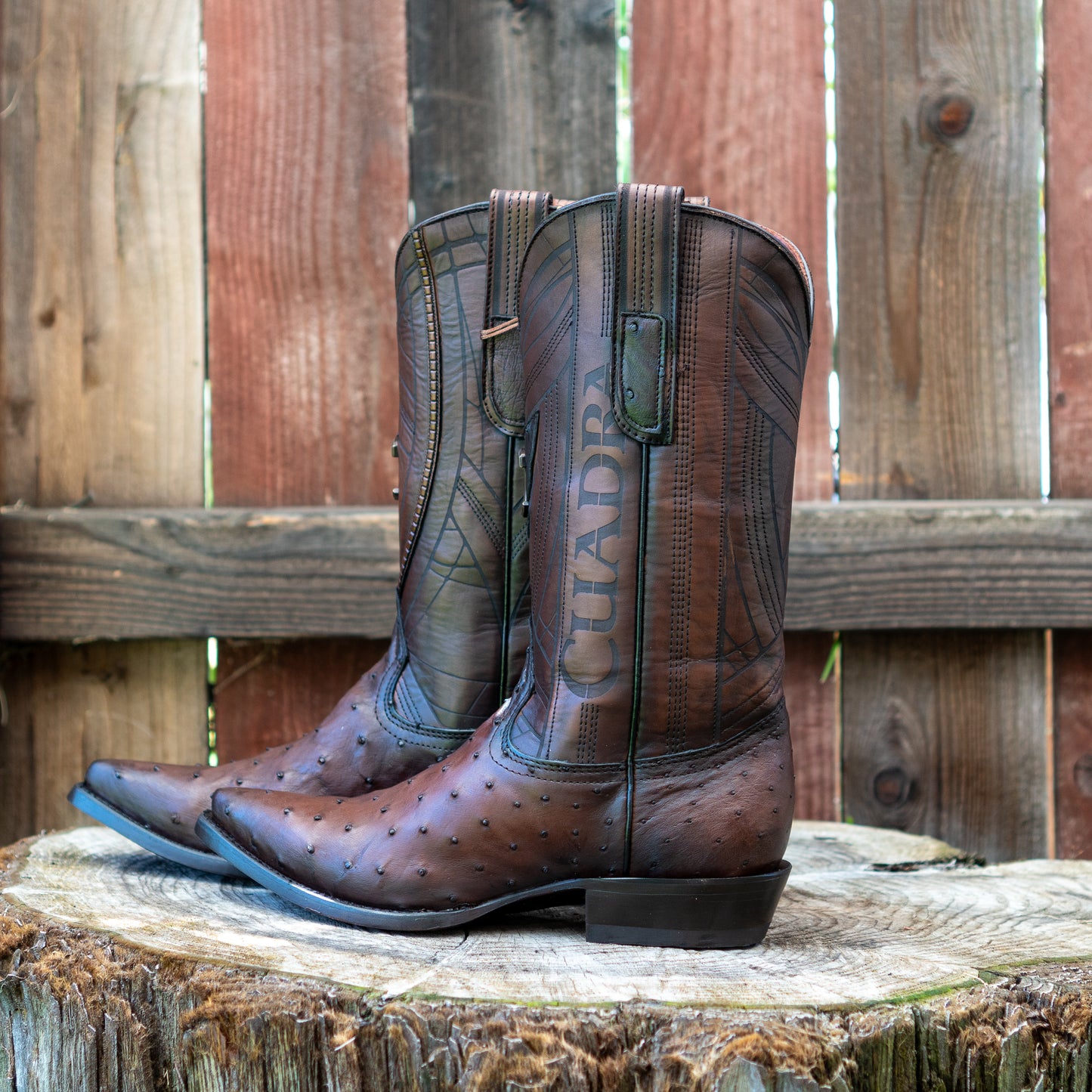 Cuadra Men's Ostrich Laser And Embroidery Snip Toe Cowboy Boots in Flame Chocolate