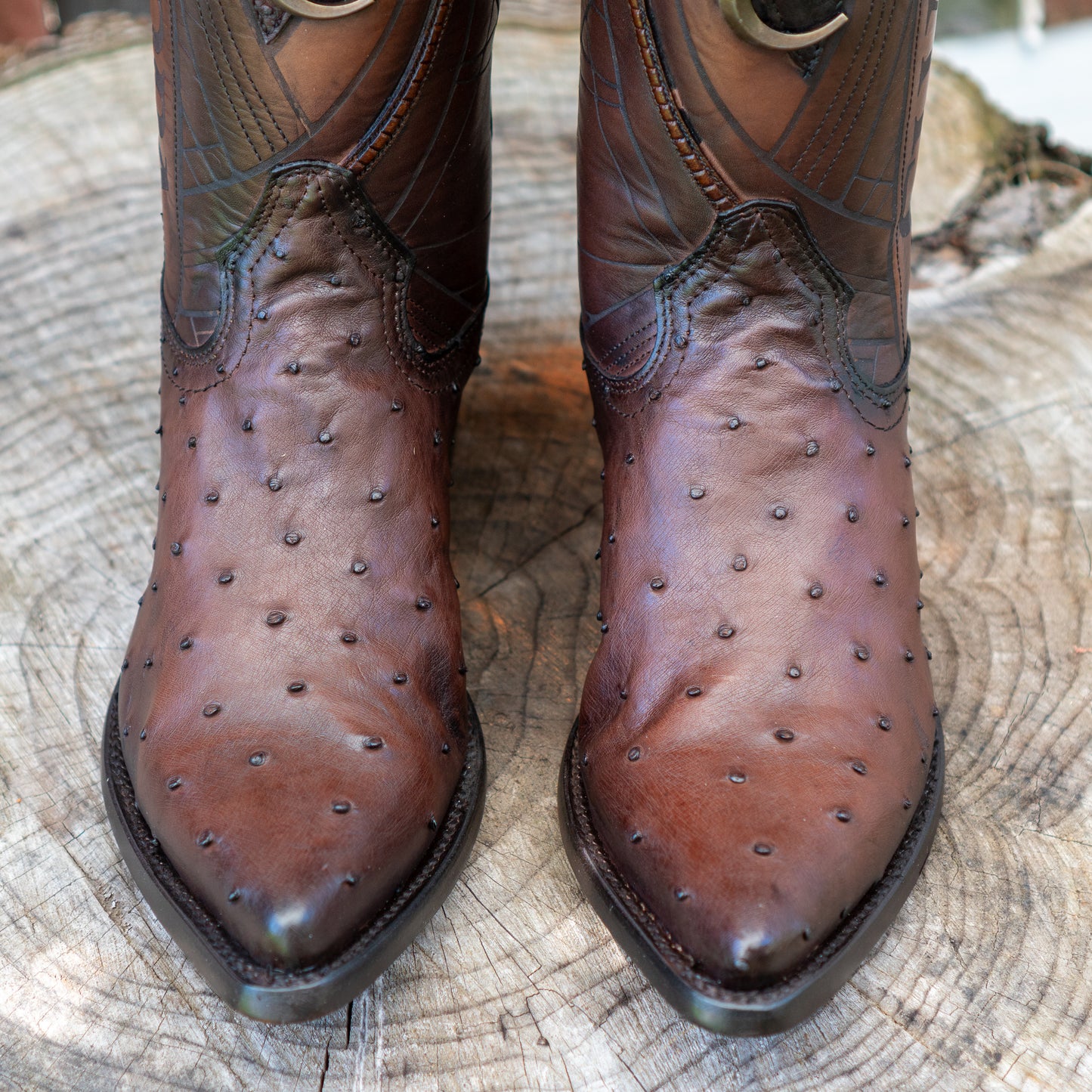 Cuadra Men's Ostrich Laser And Embroidery Snip Toe Cowboy Boots in Flame Chocolate