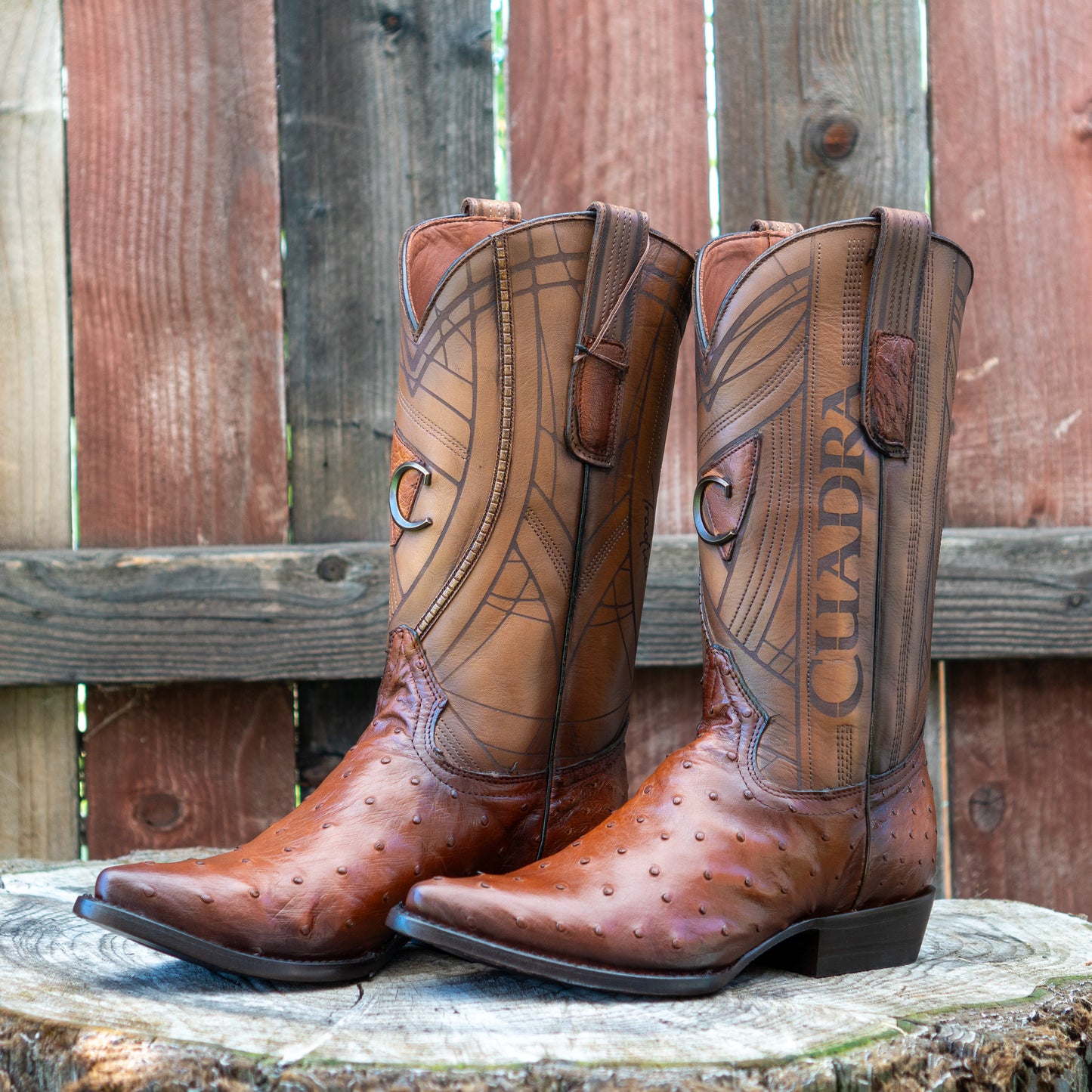 Cuadra Men's Ostrich Laser And Embroidery Snip Toe Cowboy Boots in Flame Honey