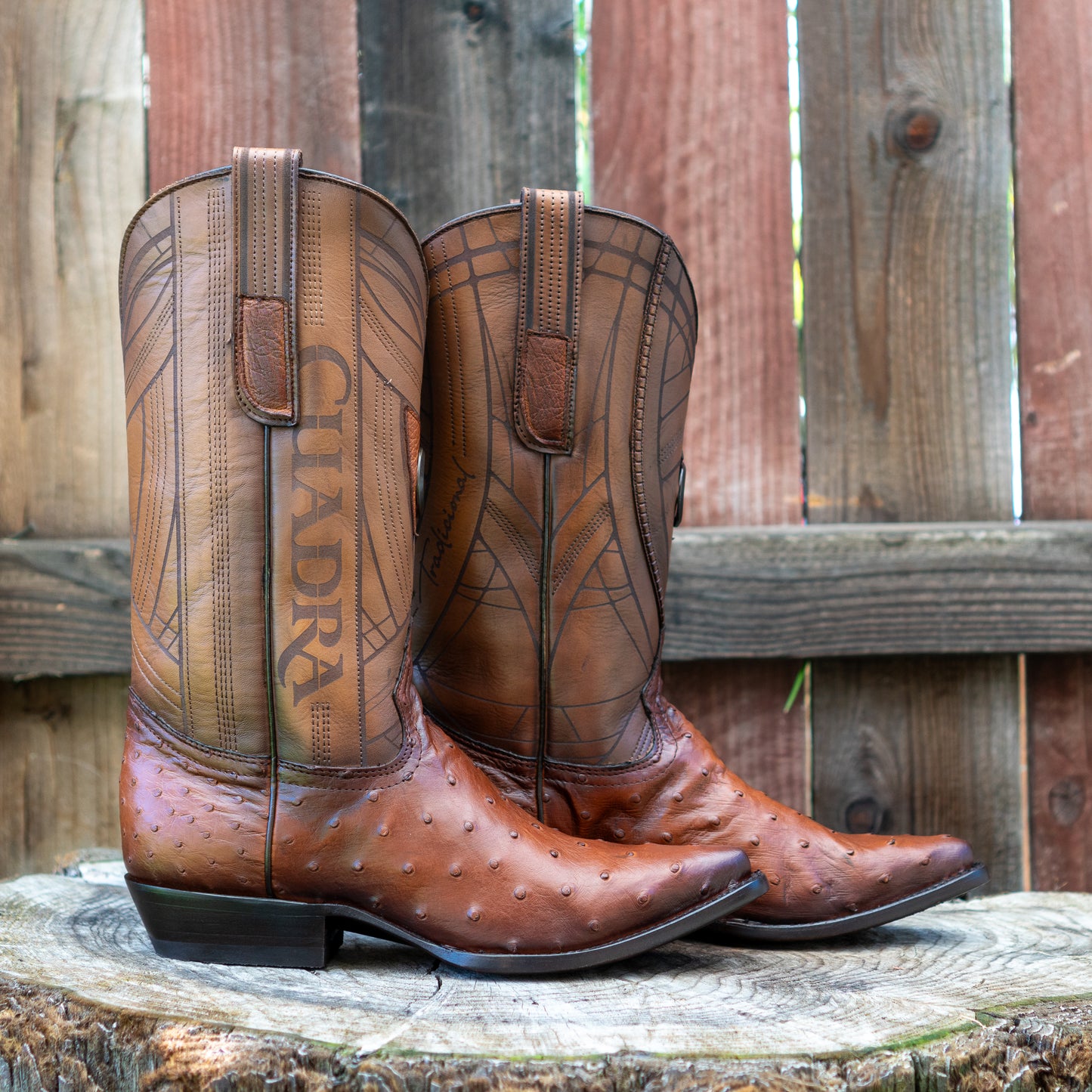 Cuadra Men's Ostrich Laser And Embroidery Snip Toe Cowboy Boots in Flame Honey