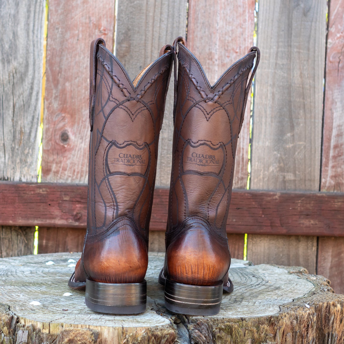 Cuadra Men's Honey Lizard Teju Laser And Embroidery Square Toe Cowboy Boots