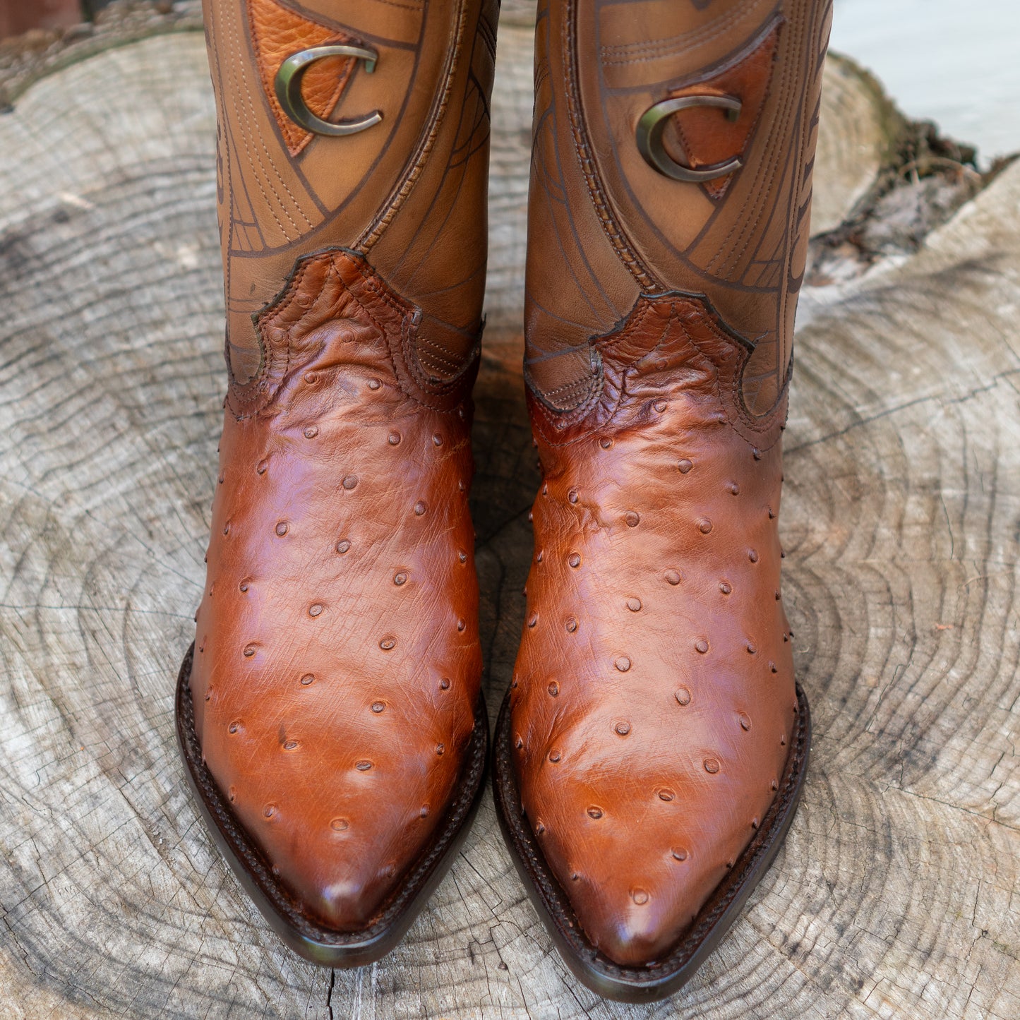 Cuadra Men's Ostrich Laser And Embroidery Snip Toe Cowboy Boots in Flame Honey
