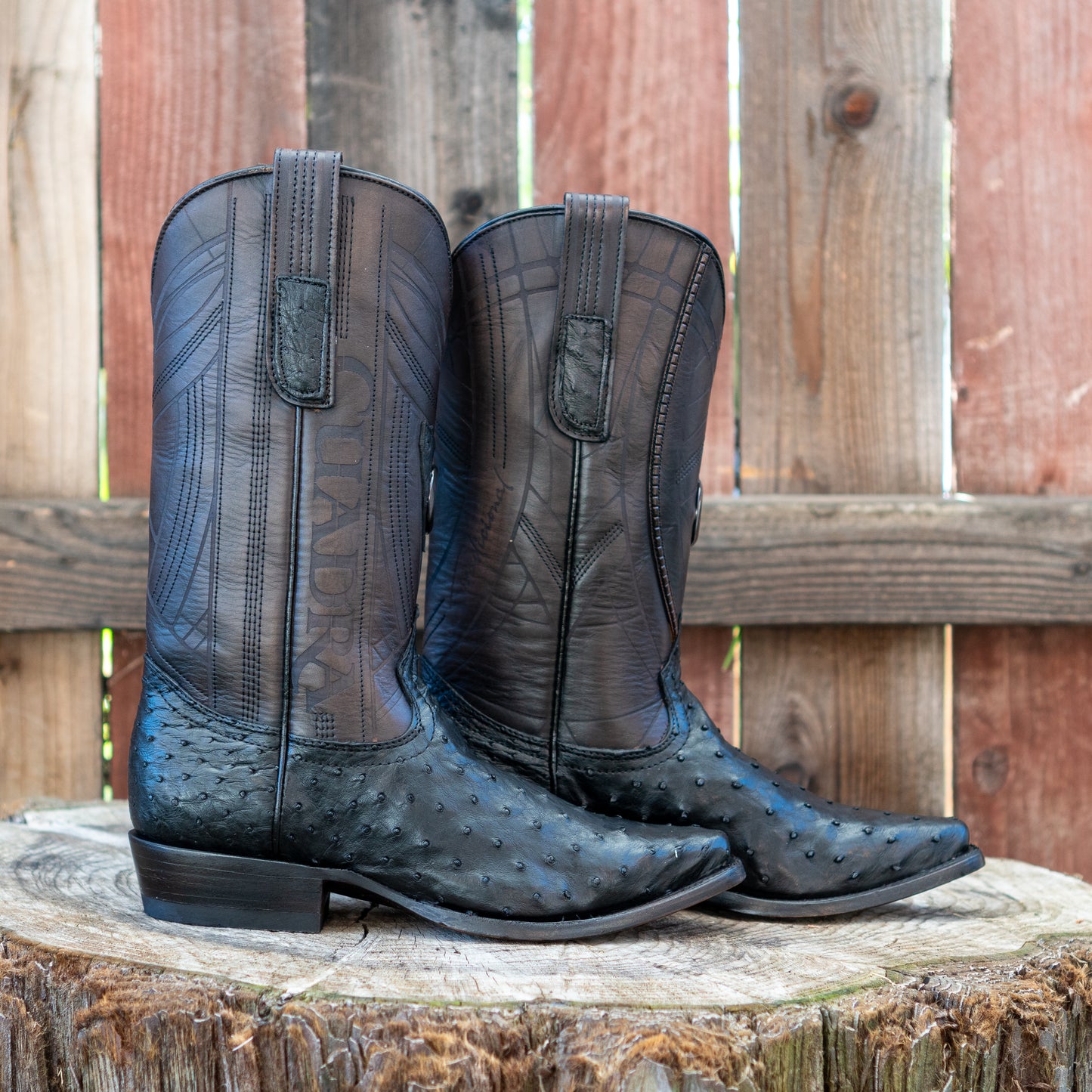 Cuadra Men's Ostrich Laser And Embroidery Snip Toe Cowboy Boots in Flame Black