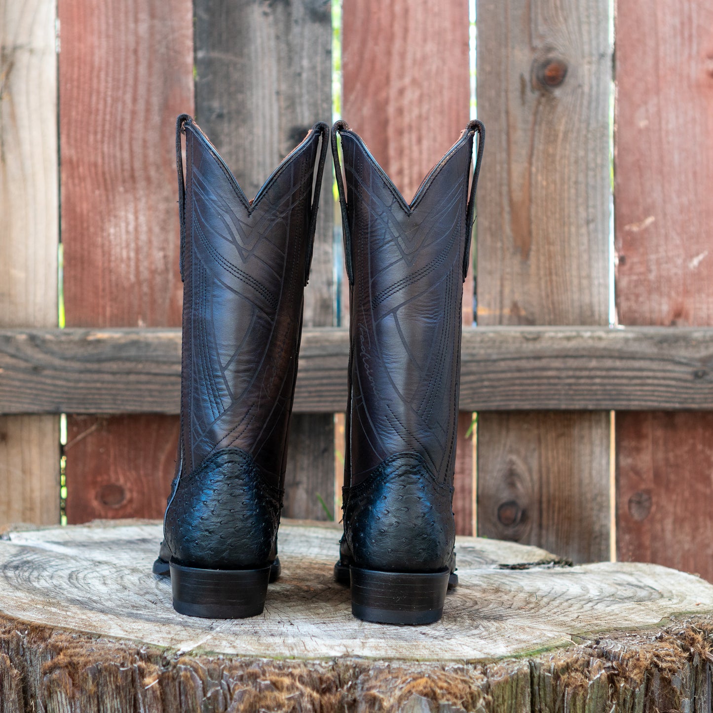 Cuadra Men's Ostrich Laser And Embroidery Snip Toe Cowboy Boots in Flame Black