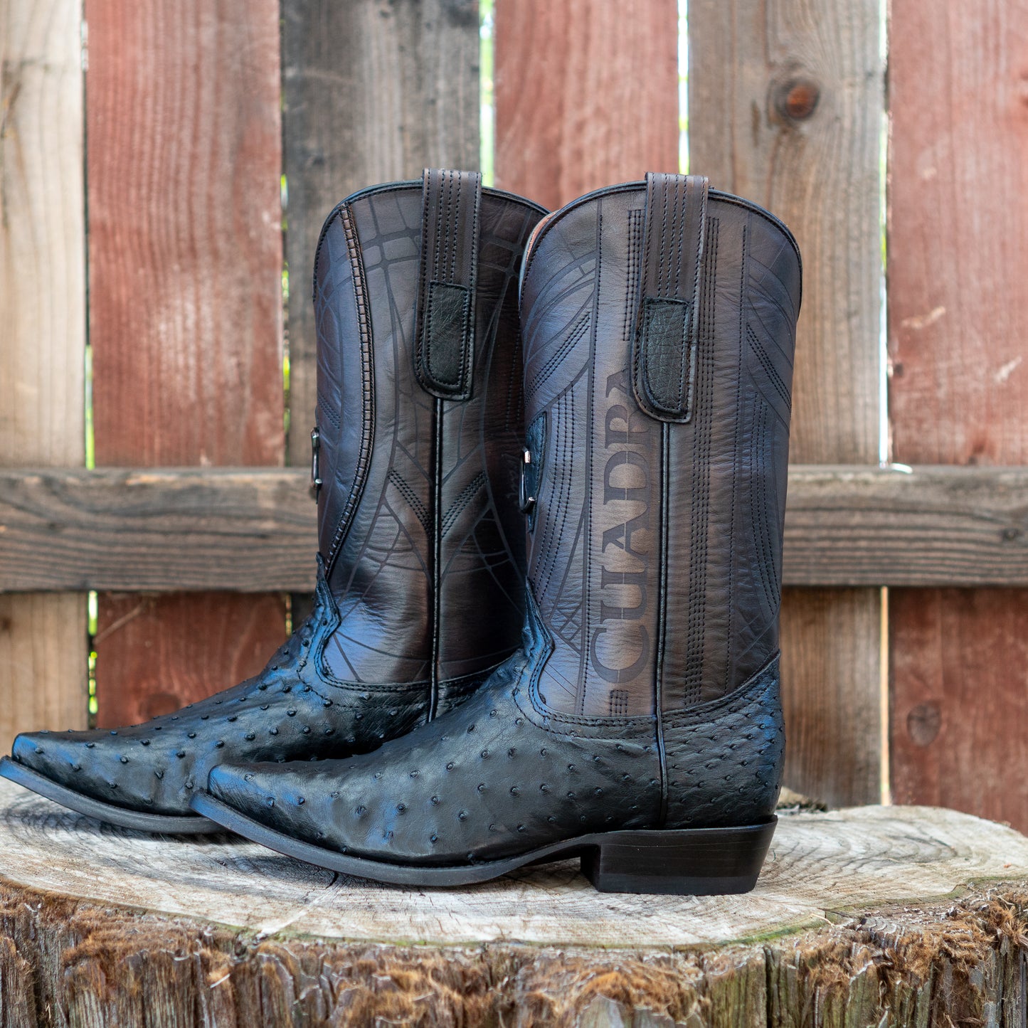 Cuadra Men's Ostrich Laser And Embroidery Snip Toe Cowboy Boots in Flame Black
