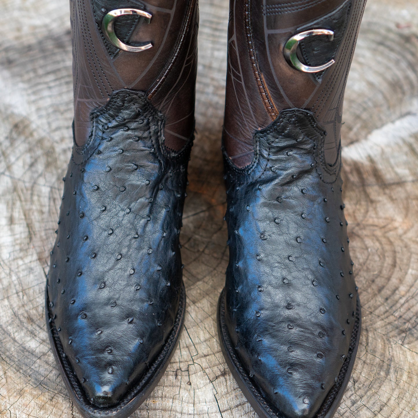 Cuadra Men's Ostrich Laser And Embroidery Snip Toe Cowboy Boots in Flame Black