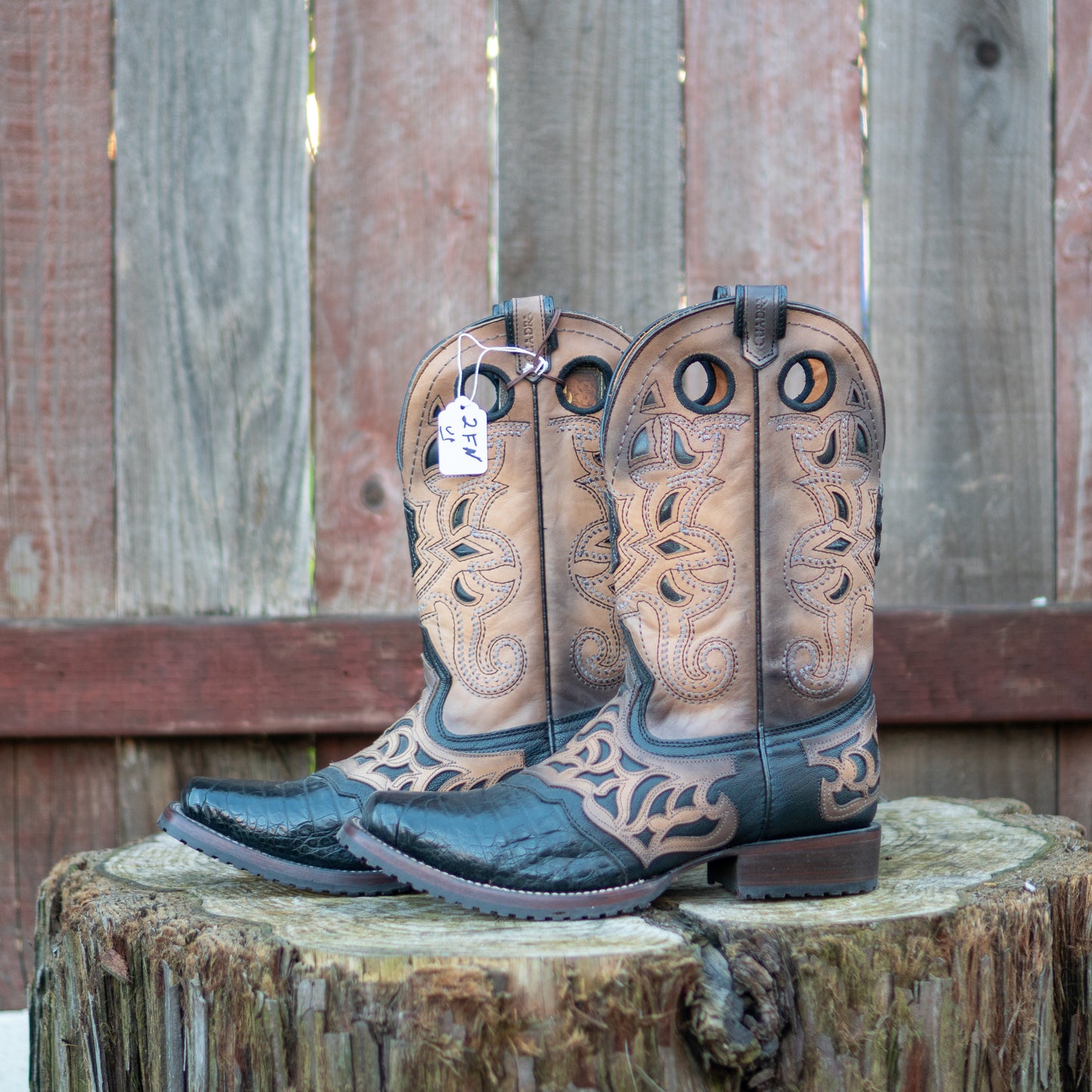 Cuadra Men's Fuscus Belly Cowboy Boots in Black
