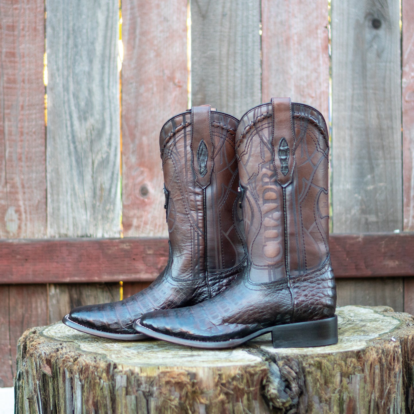 Cuadra Men's Paris Brown Caiman Laser Embroidery Square Toe Cowboy Boots