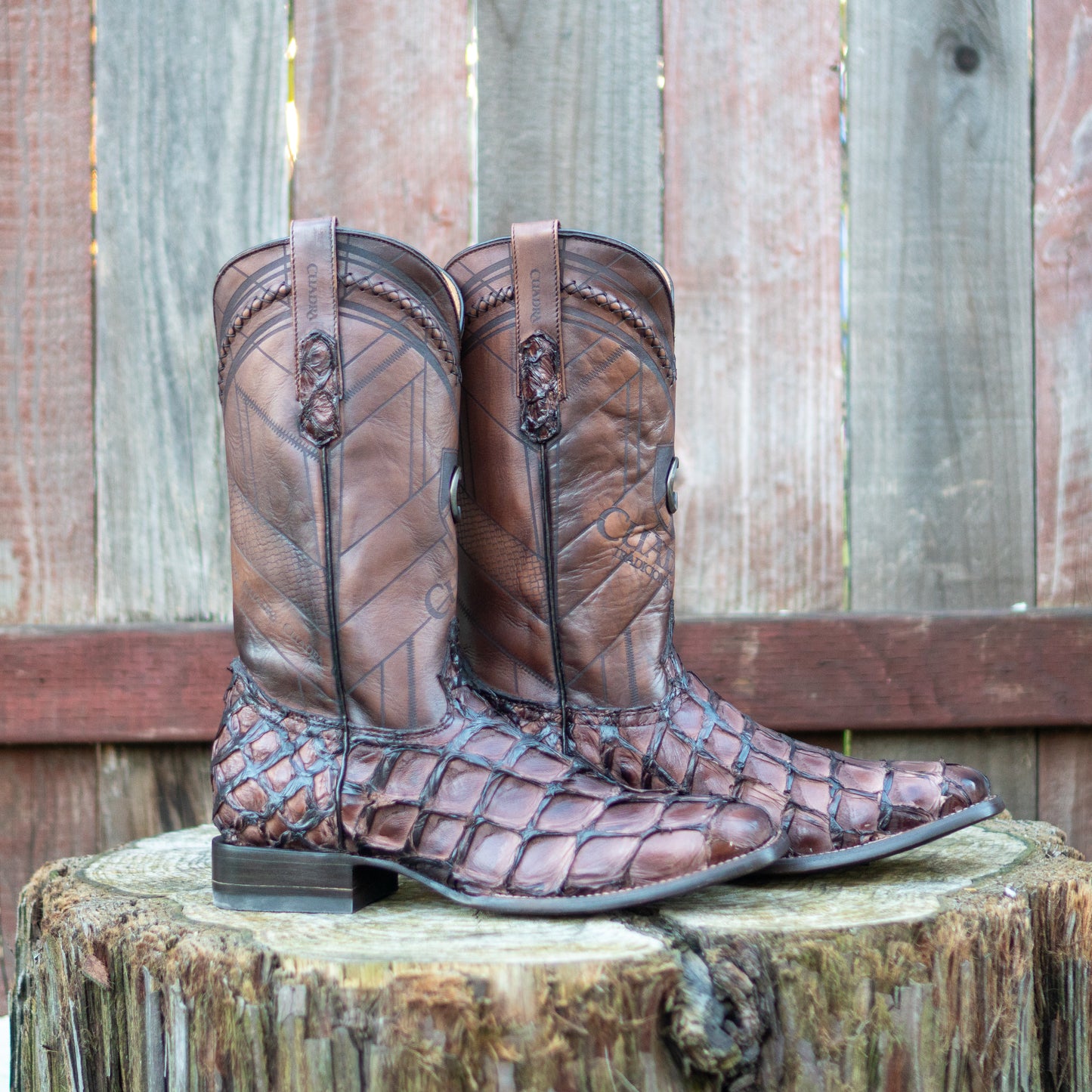 Cuadra Men's Chocolate Glazed Fish Pirarucu Laser & Woven Square Toe Western Boot