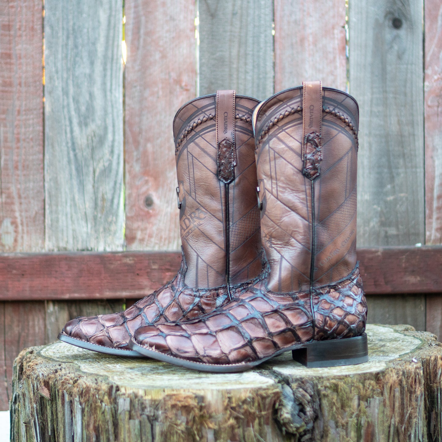 Cuadra Men's Chocolate Glazed Fish Pirarucu Laser & Woven Square Toe Western Boot