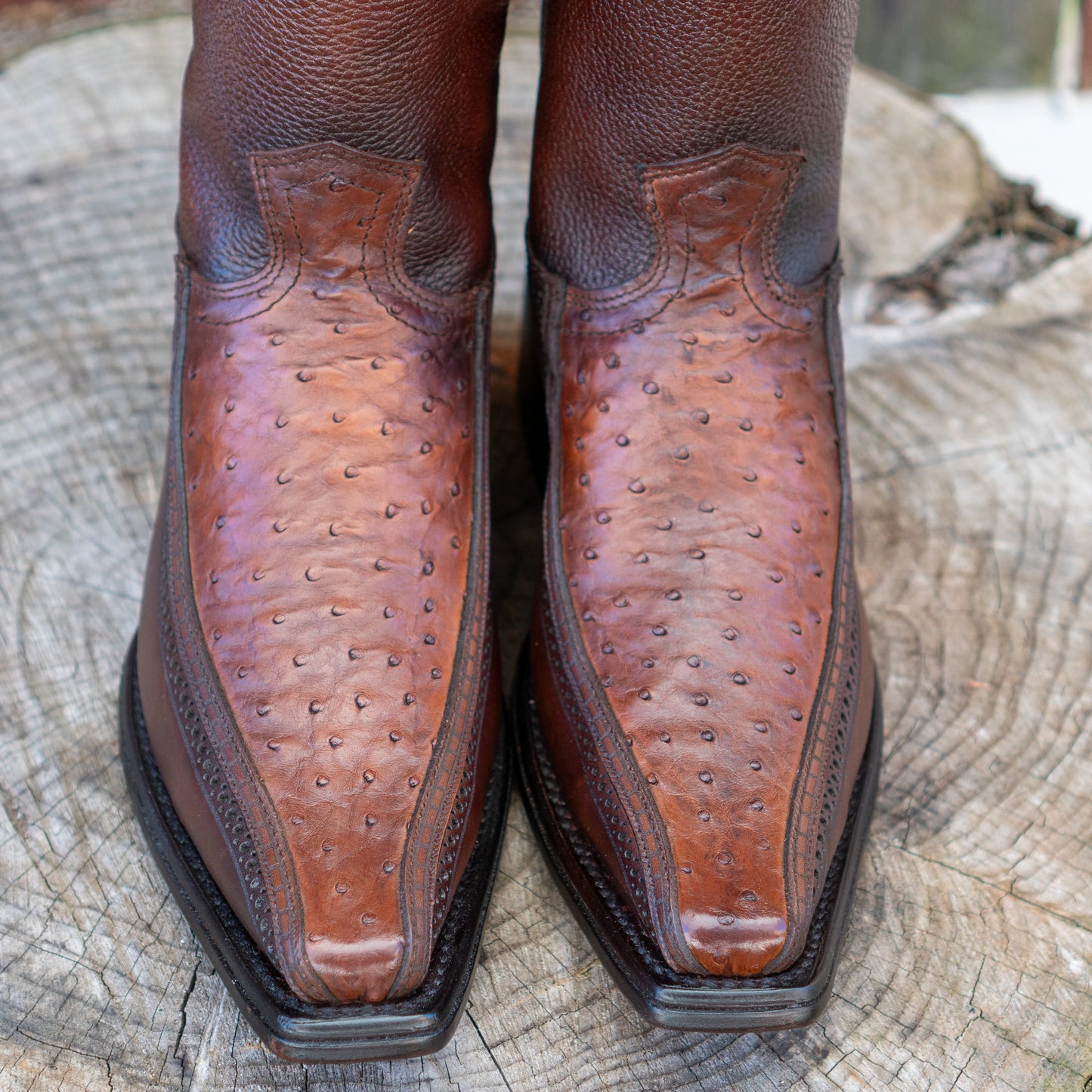 Cuadra Men's Ostrich Laser And Woven Narrow Square Toe Exotic Leather Cowboy Boots in Moroni Brown