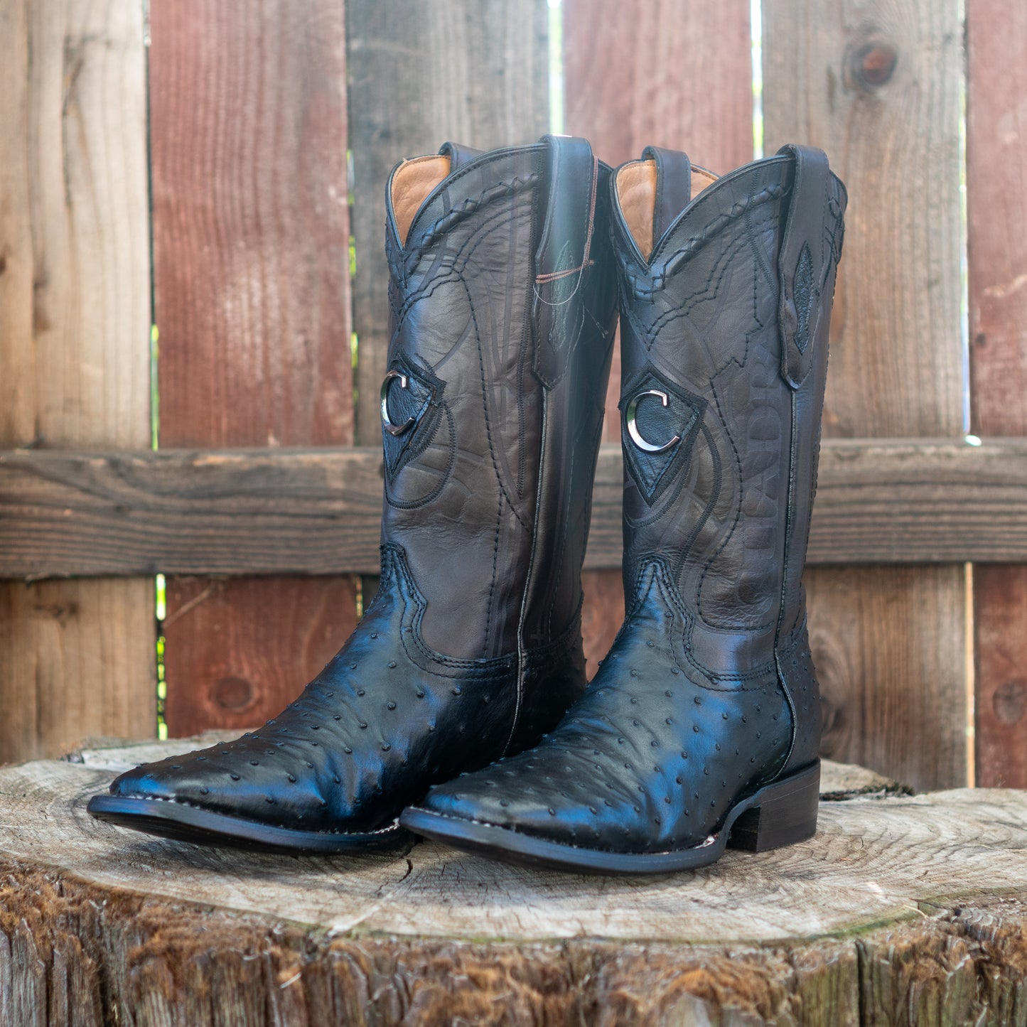 Cuadra Men's Ostrich Laser And Embroidery Square Toe Cowboy Boots in Black CU662