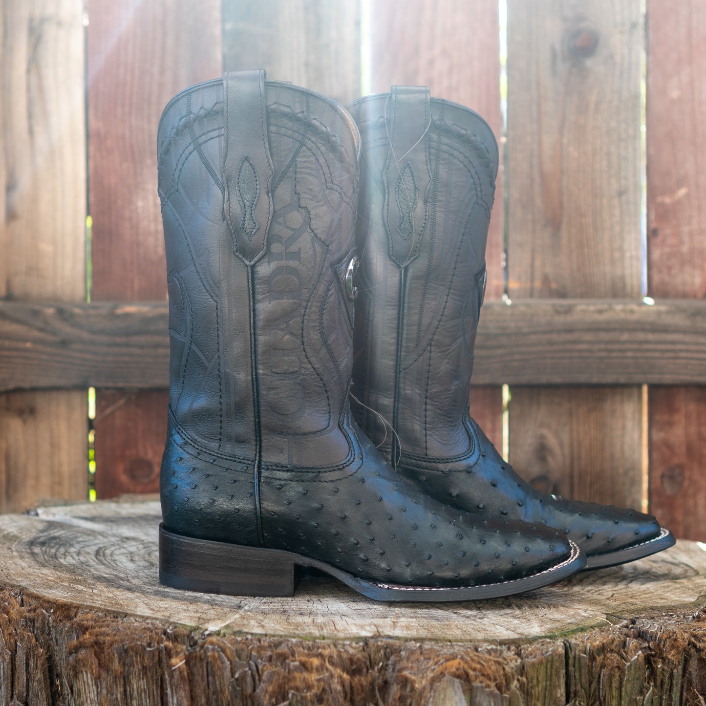 Cuadra Men's Ostrich Laser And Embroidery Square Toe Cowboy Boots in Black CU662
