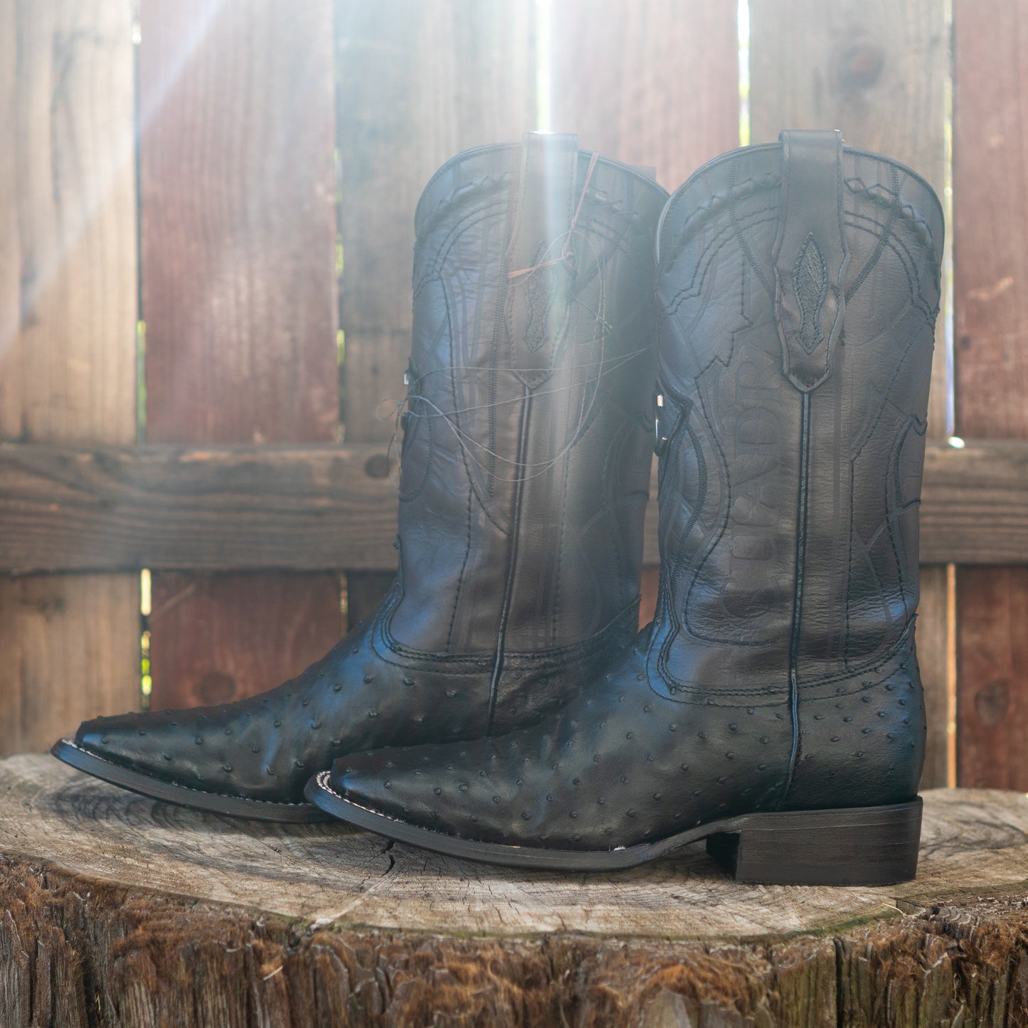 Cuadra Men's Ostrich Laser And Embroidery Square Toe Cowboy Boots in Black CU662