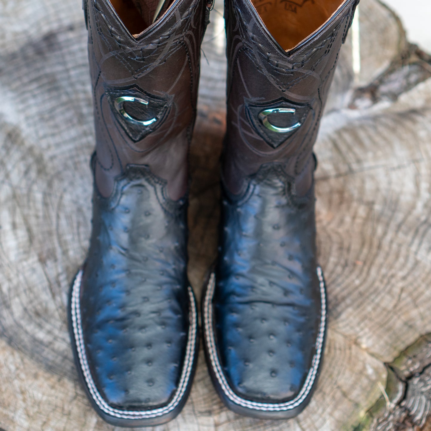 Cuadra Men's Ostrich Laser And Embroidery Square Toe Cowboy Boots in Black CU662