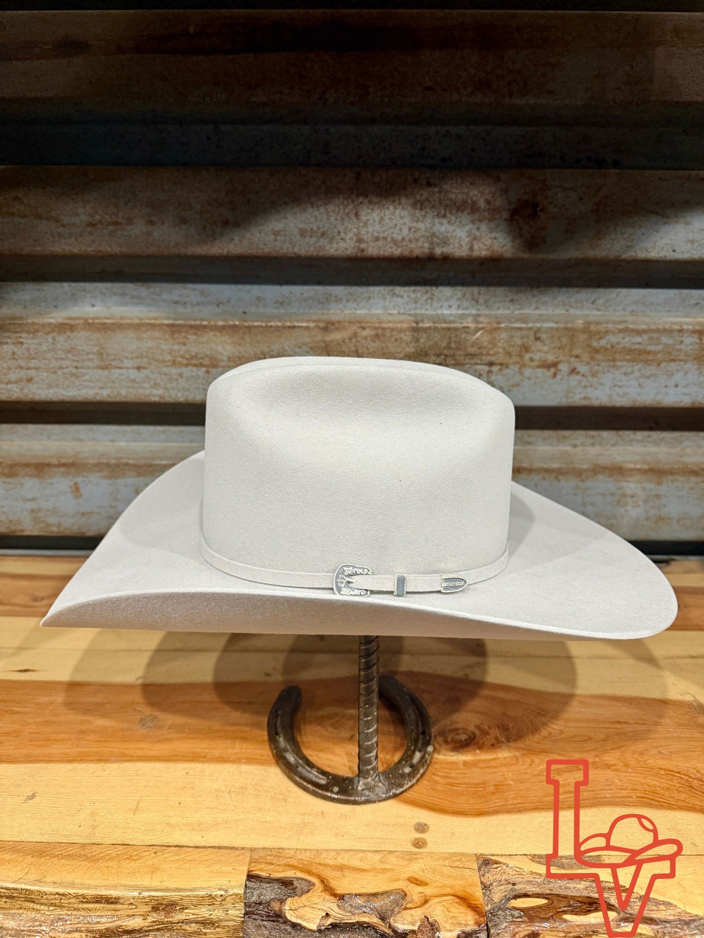 Stetson Skyline 6x Cowboy Felt Hat Silver Grey