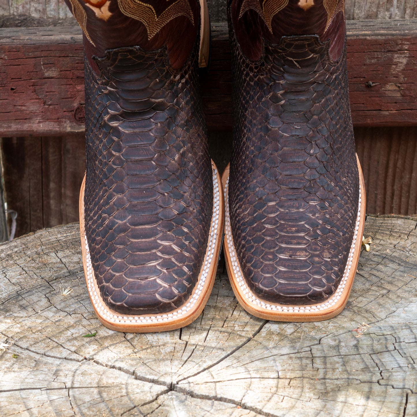 Tanner Mark Boots Men's TMX208036 Python Matte Brown
