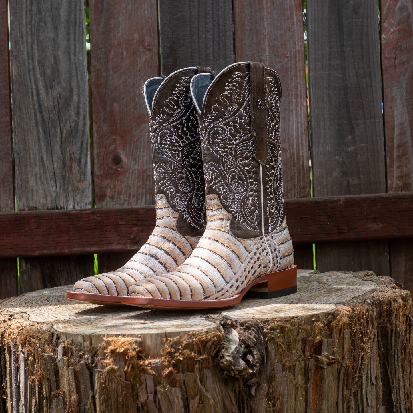 Tanner Mark Boots Men's Print Caiman Belly Natural With Montalvo Grey Top Boots TM205569 Natural