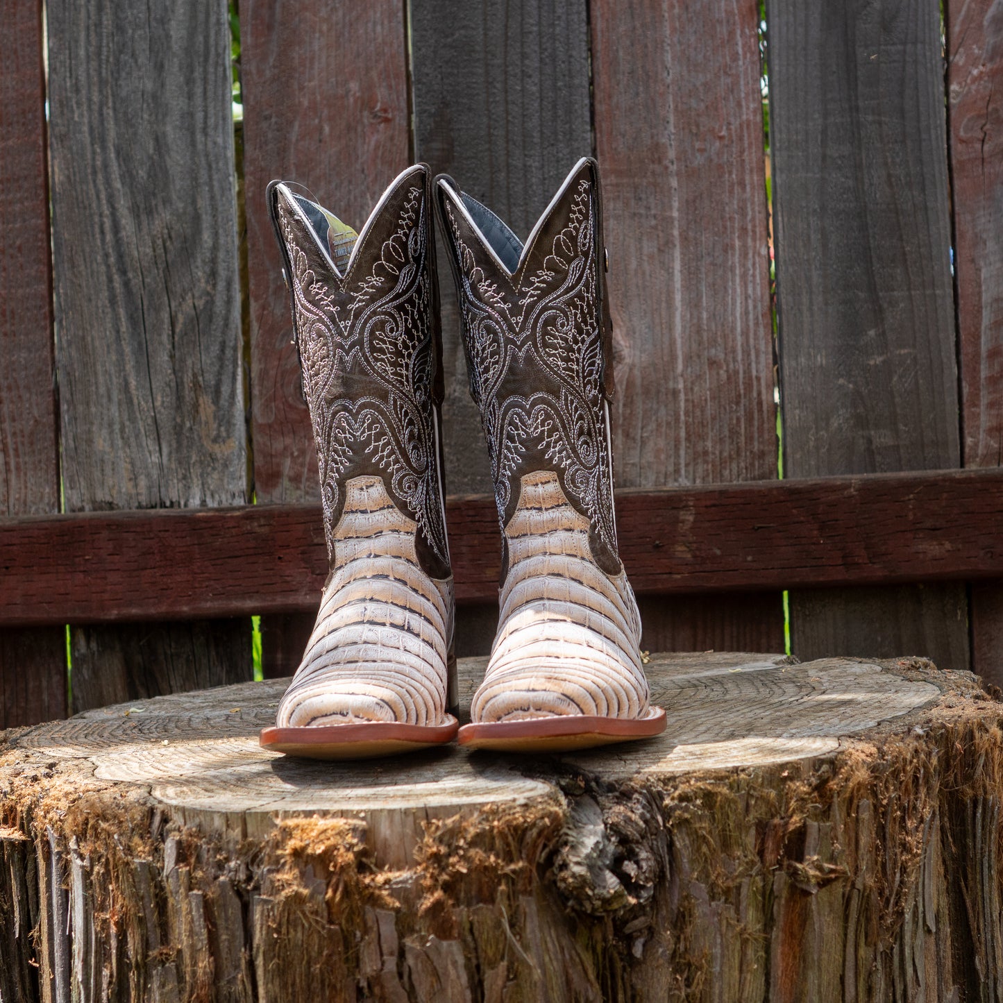 Tanner Mark Boots Men's Print Caiman Belly Natural With Montalvo Grey Top Boots TM205569 Natural