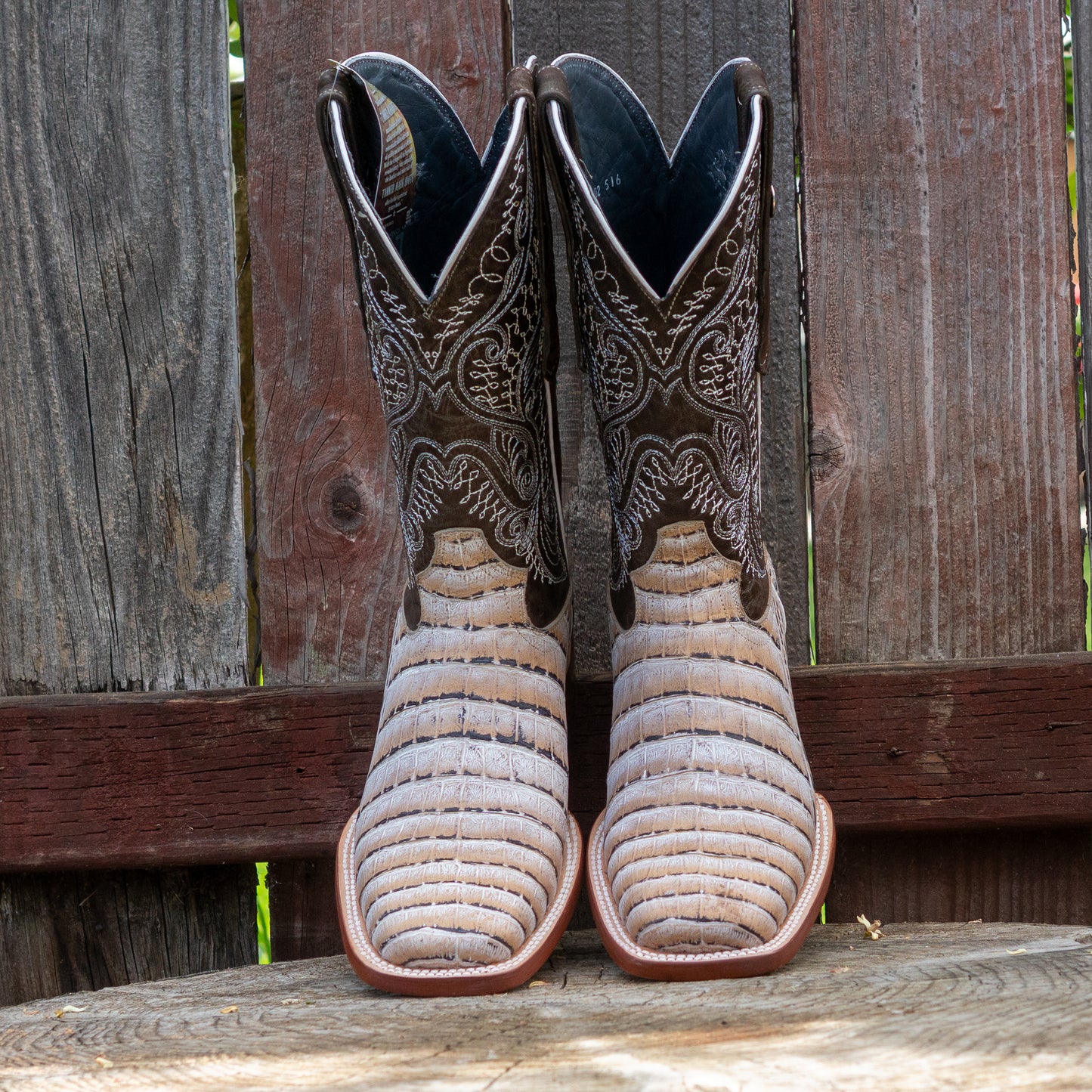 Tanner Mark Boots Men's Print Caiman Belly Natural With Montalvo Grey Top Boots TM205569 Natural