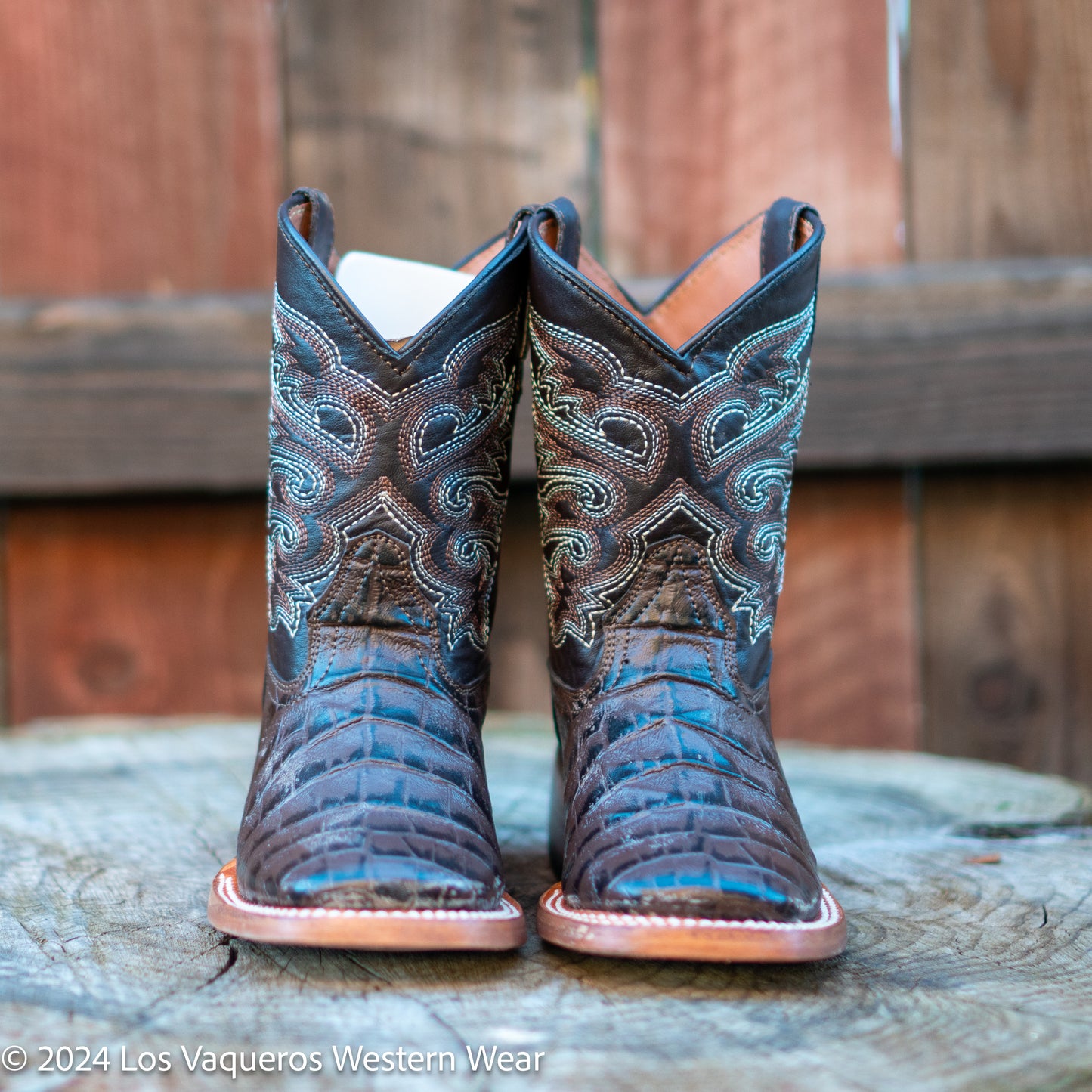 Tanner Mark Boots Kids Brady Caiman Belly Print TMK200778 Brown
