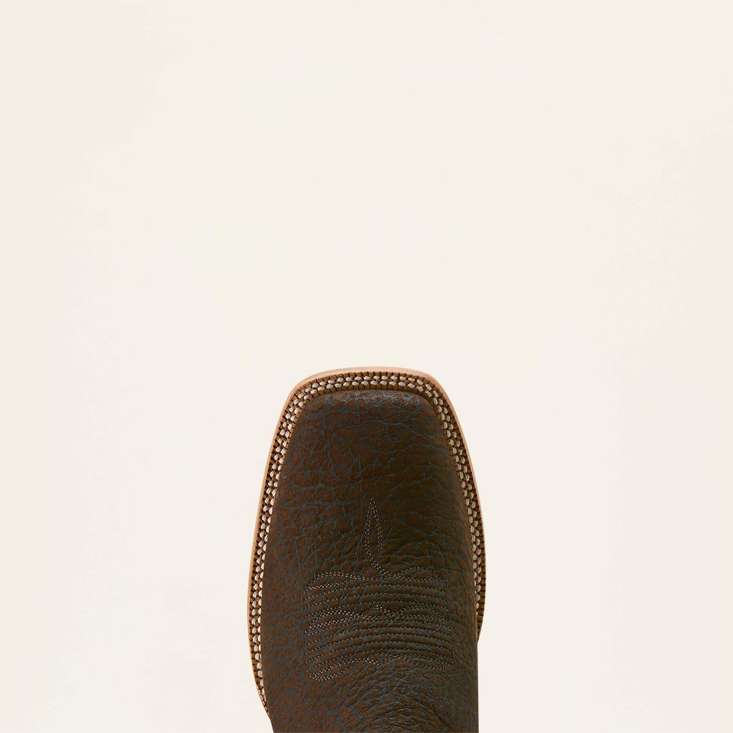 CHOCOLATE BISON|LOCO BROWN