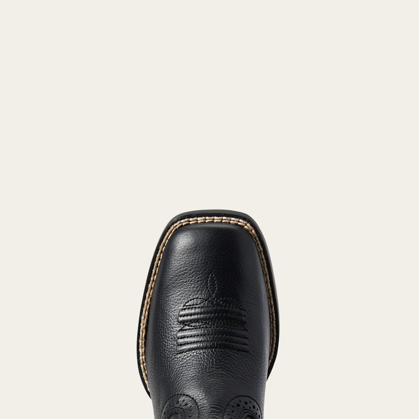 BEAR BLACK