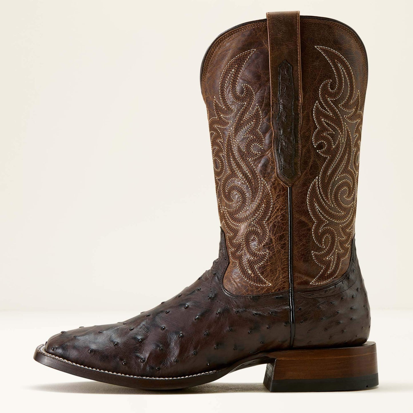 CIGAR FULL QUILL OSTRICH|LOCO BROWN