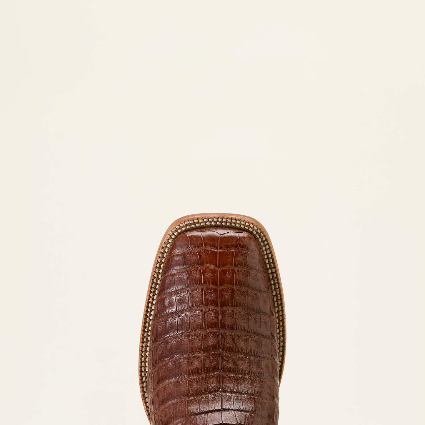 WHISKEY CAIMAN BELLY|WARM TAUPE