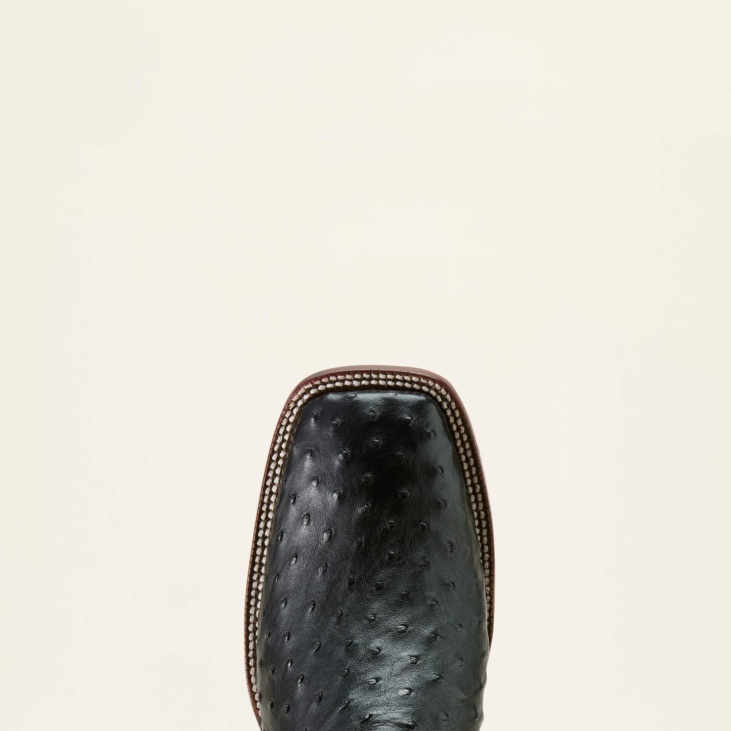 BLACK FULL QUILL OSTRICH|MIDNIGHT BLACK
