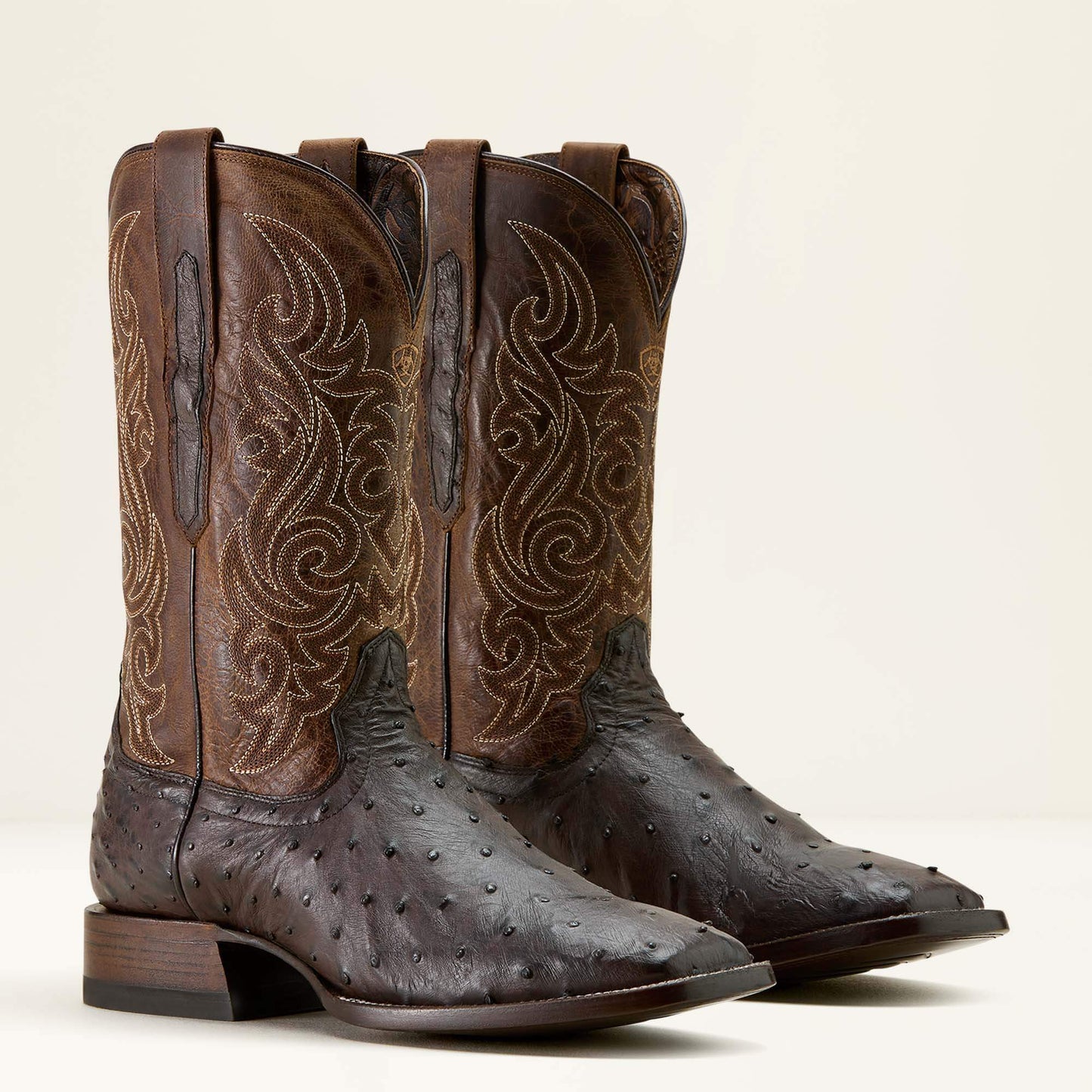 CIGAR FULL QUILL OSTRICH|LOCO BROWN