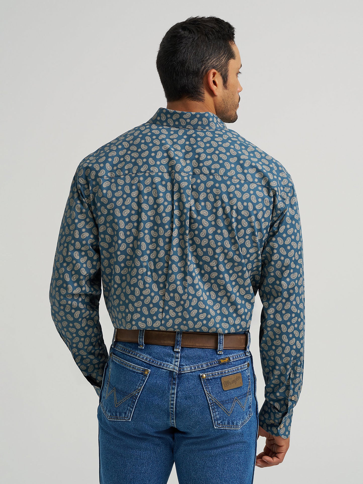 Mallard Paisley