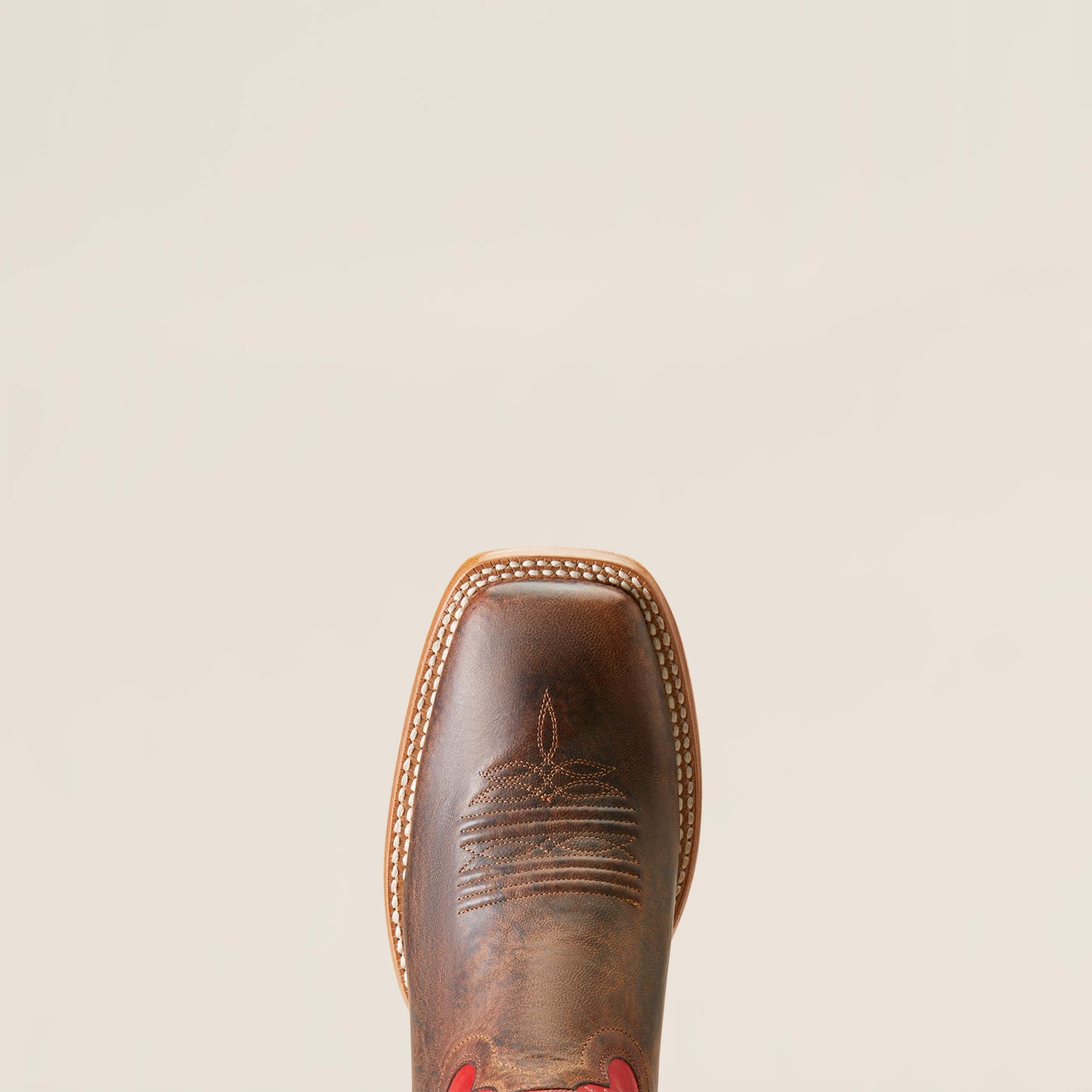 CHESTNUT BROWN