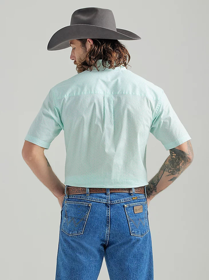 Mint Paisley