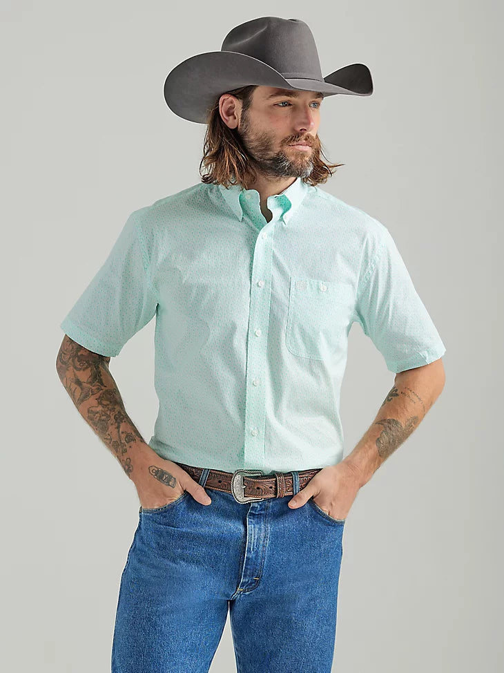 Mint Paisley