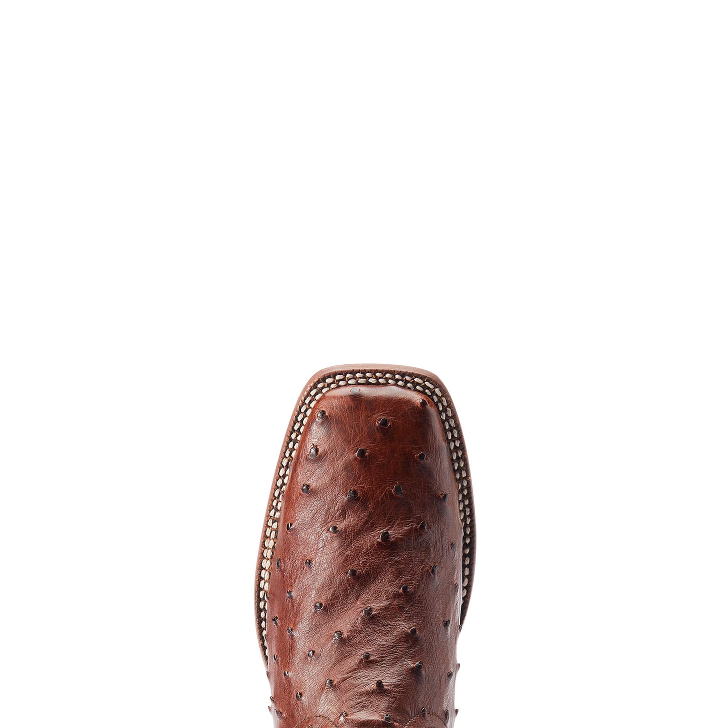 CINNAMON FULL QUILL OSTRICH