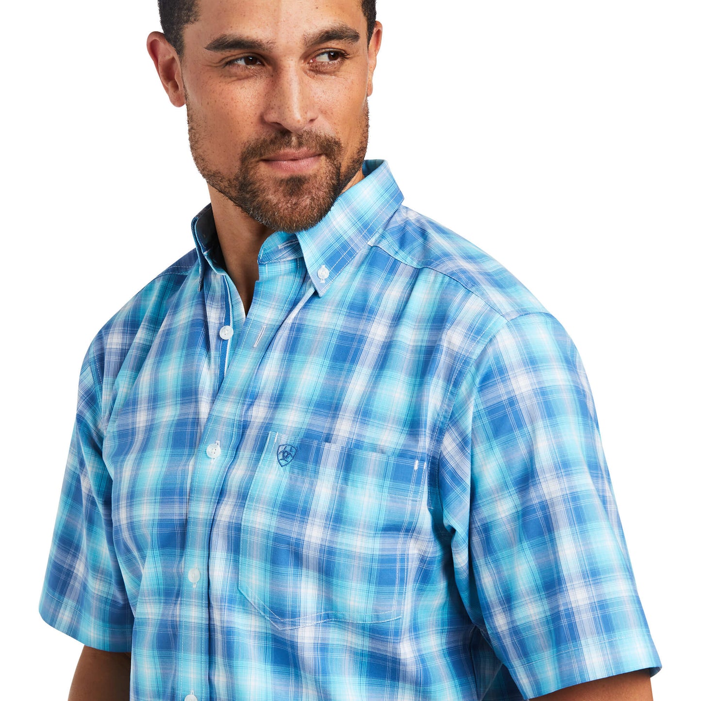 BACHELOR BUTTON