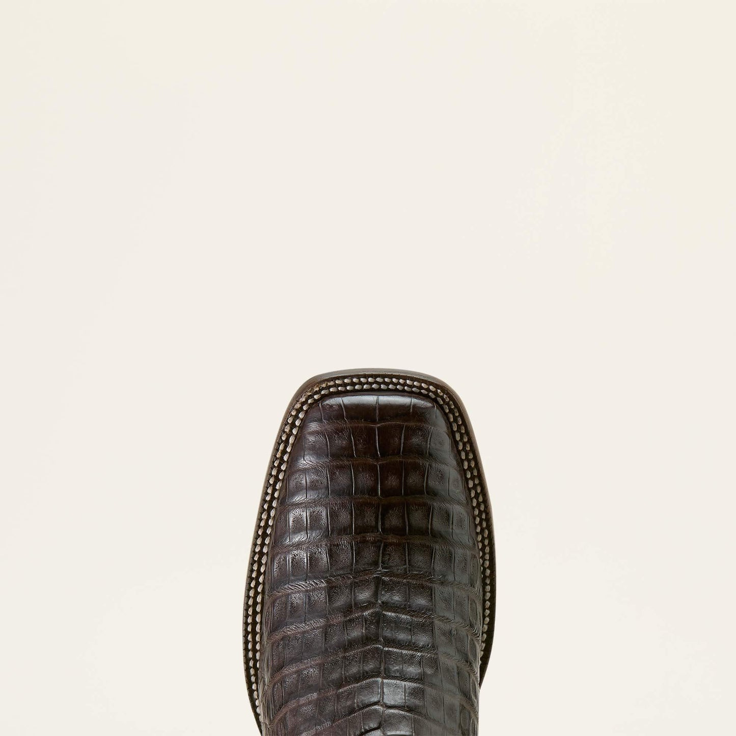CHOCOLATE CAIMAN BELLY|CHESTNUT BROWN