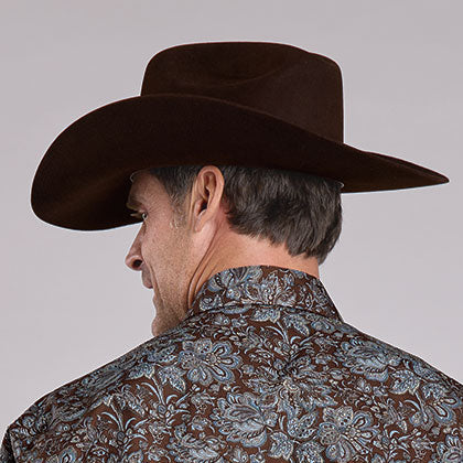 Stetson Men's Long Sleeve Fall Paisley Western Shirt Brown