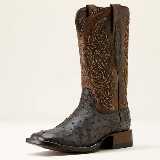 CIGAR FULL QUILL OSTRICH|LOCO BROWN