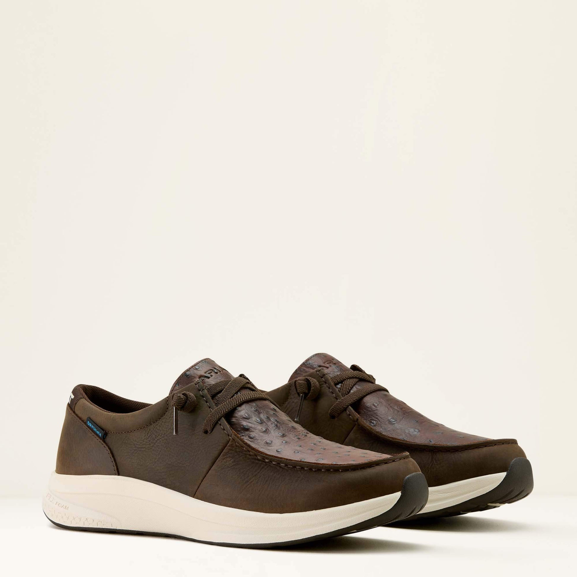 DARK CHOCOLATE|CHOCOLATE FULL QUILL OSTRICH P