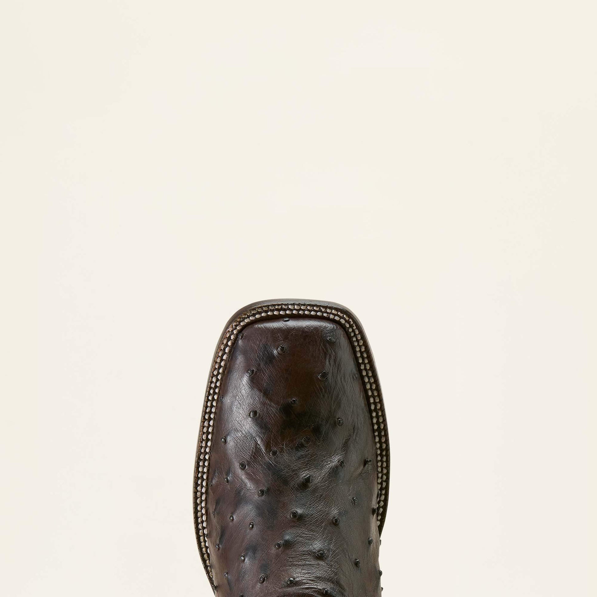CIGAR FULL QUILL OSTRICH|LOCO BROWN