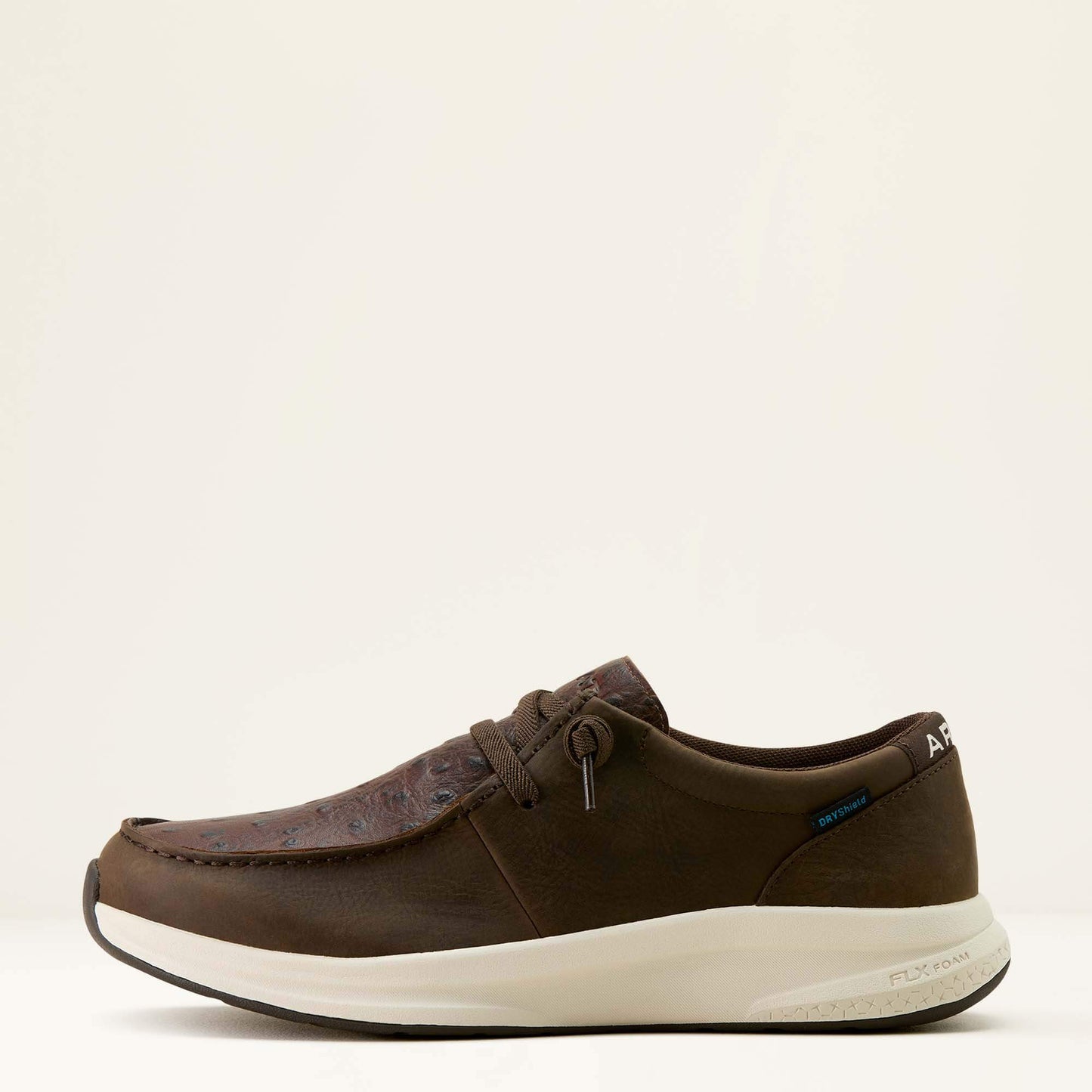 DARK CHOCOLATE|CHOCOLATE FULL QUILL OSTRICH P