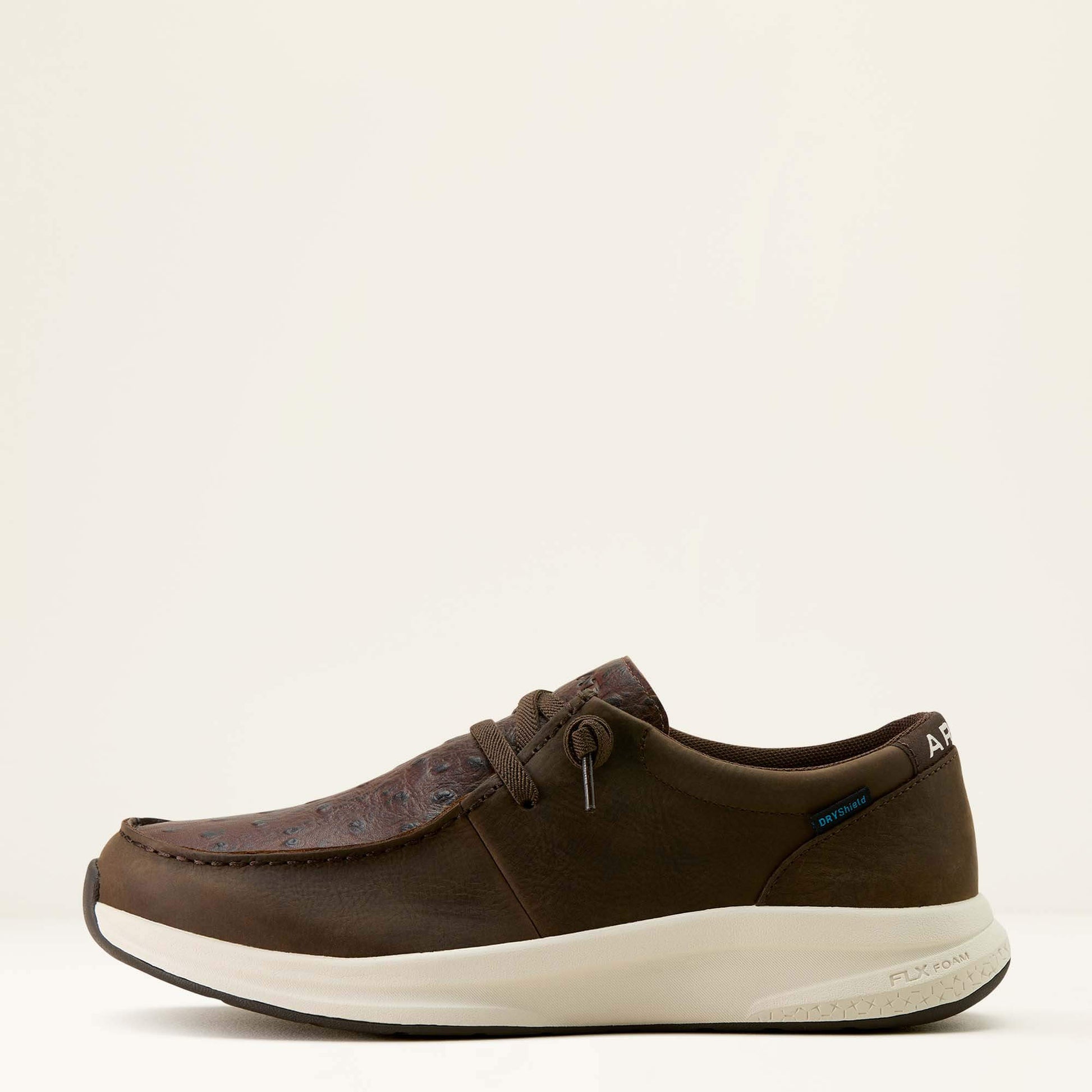 DARK CHOCOLATE|CHOCOLATE FULL QUILL OSTRICH P