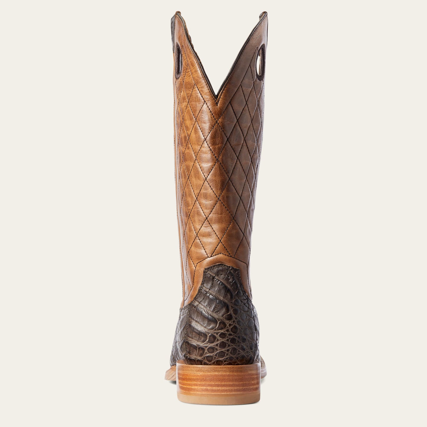 CHOCOLATE CAIMAN BELLY