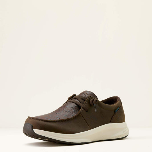 DARK CHOCOLATE|CHOCOLATE FULL QUILL OSTRICH P